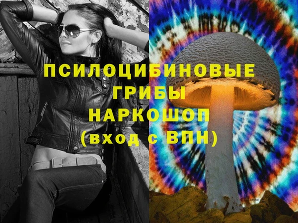 амф Ладушкин