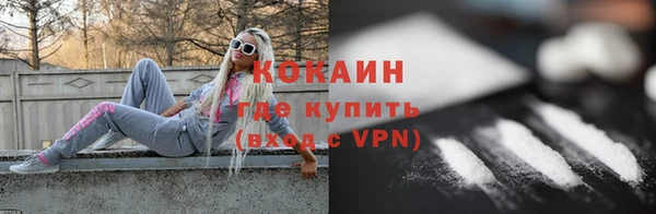 винт Лабытнанги