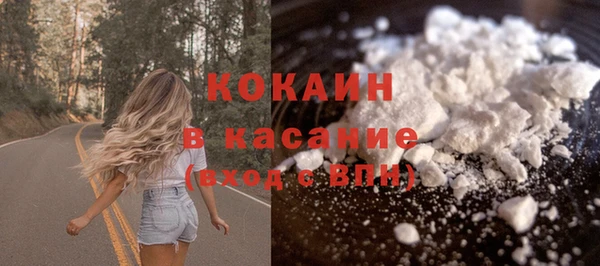 амф Ладушкин