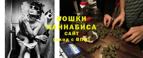 винт Лабытнанги