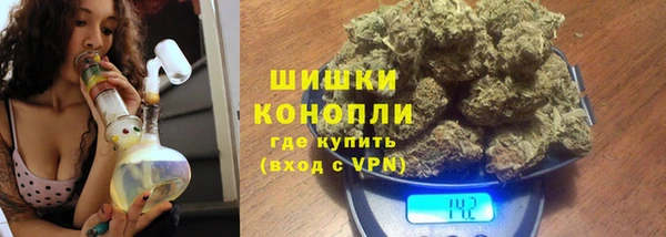 винт Лабытнанги