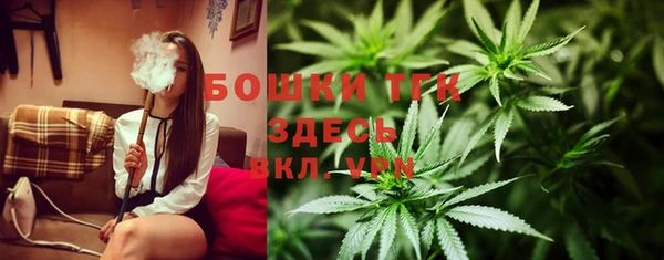 винт Лабытнанги