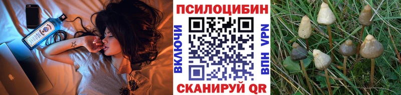 Галлюциногенные грибы прущие грибы  Магадан 